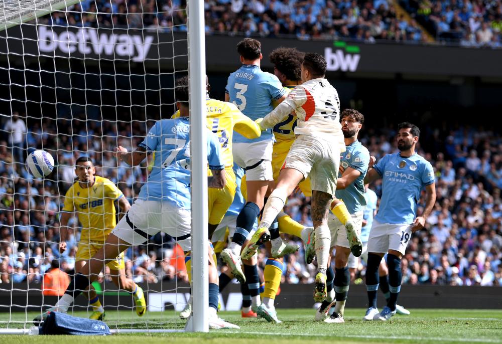 不少人对梅 不少人对梅